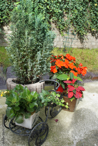 Beautiful terrace with a lot flowers and bicycle photo