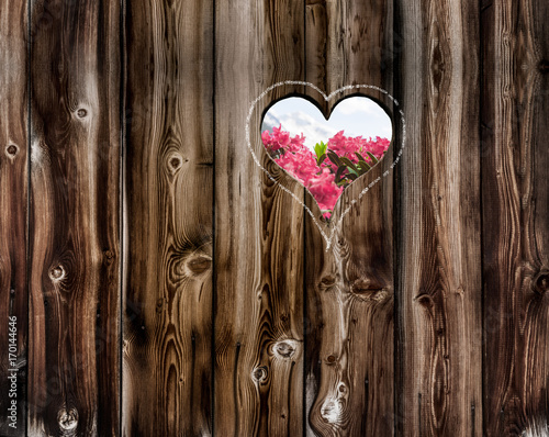 Herz in Holzwand