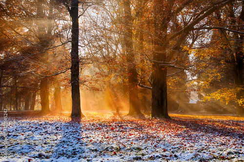 Magical autumn scenery with...