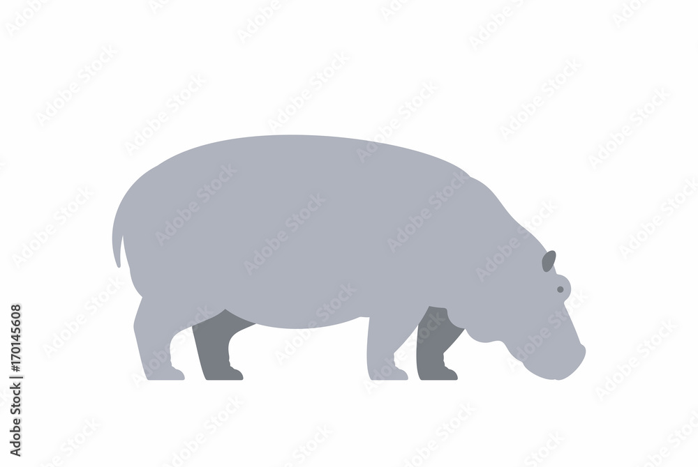 Hippo Hippo