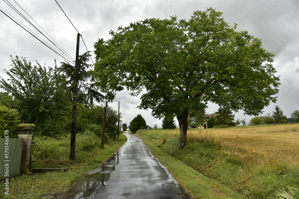 Flaques d'eau sur une petite route de campagne à Champagne ,au Périgord Vert Flaques d'eau sur une petite route de campagne à Champagne ,au Périgord Vert