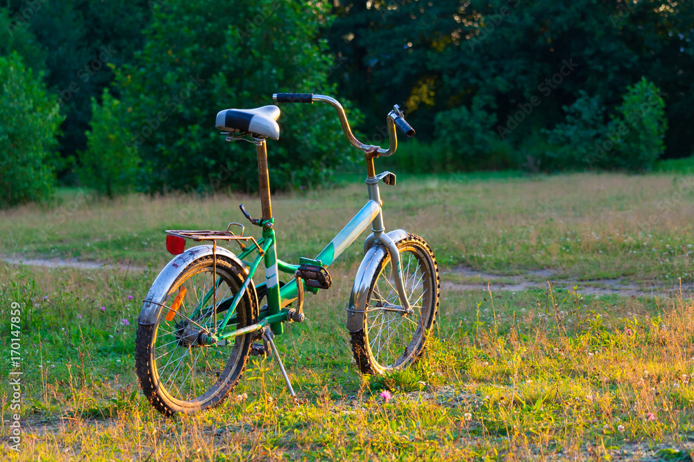 the bicycle stands on a lawn illuminated by the sun against the background of trees