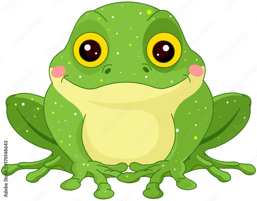 Fototapeta premium Green Toad