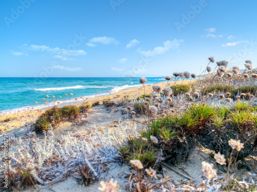 Badesi Strand photo