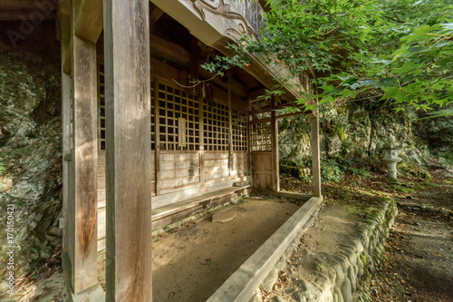 Wallpaper Mural 晩秋 Torontodigital.ca