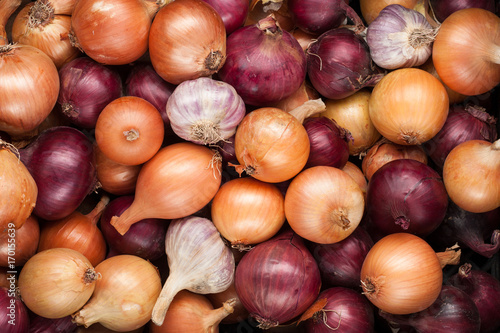 vegetables crop background onions garlic top view