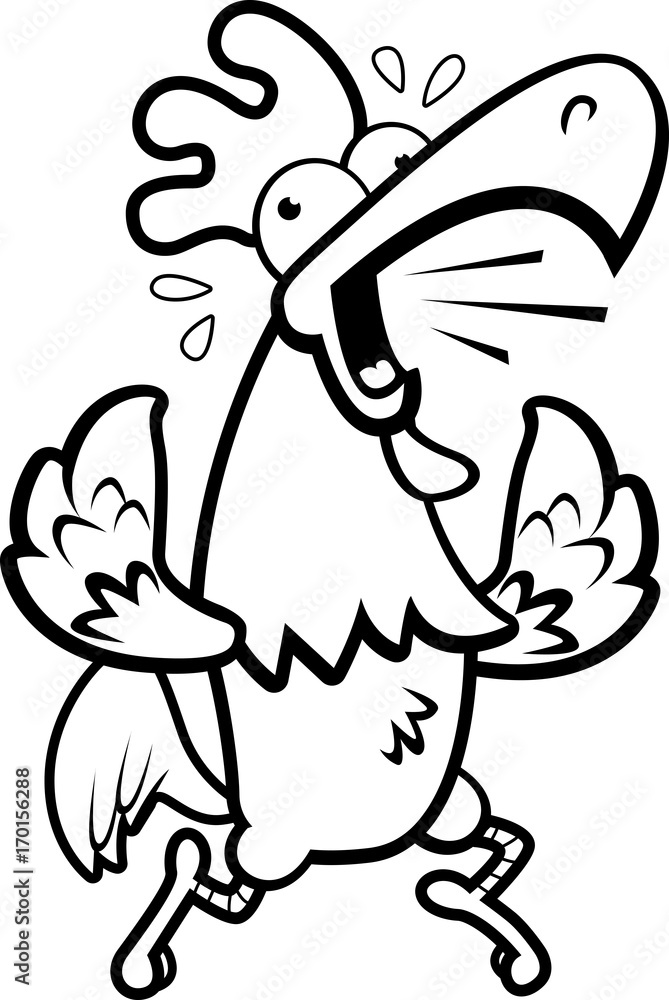 Rooster Running Rooster Running