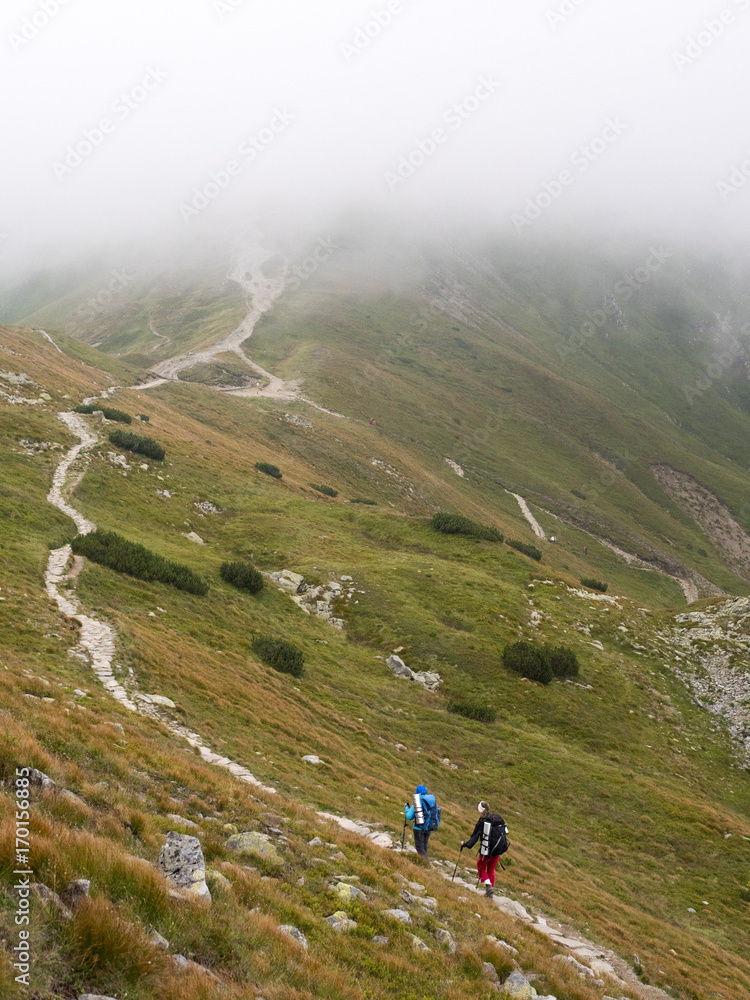 Fototapeta premium People with backpacks go on the road in the mountains.