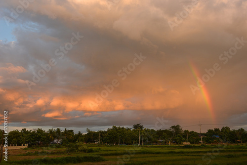 sky rainbow, Rice field