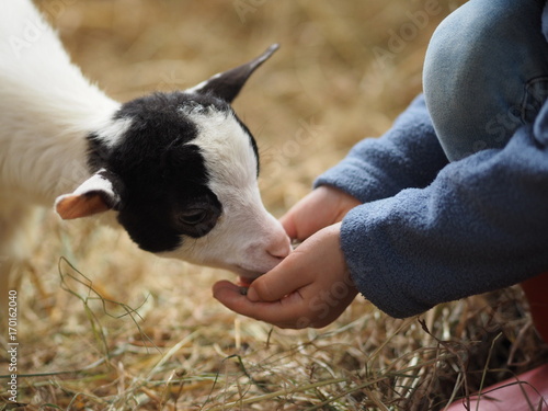 Foto Chevreau