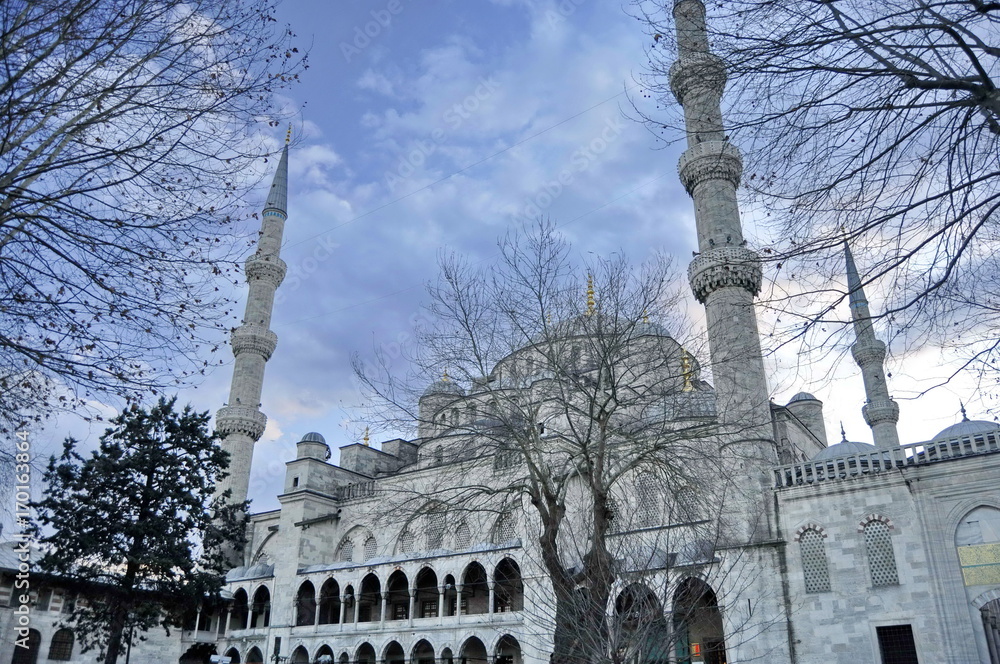 Fototapeta premium Blue Mosque, Istanbul, Turkey