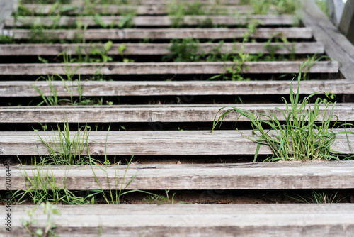 The stairs on the street have grown grass, and the plants are growing between stairs.