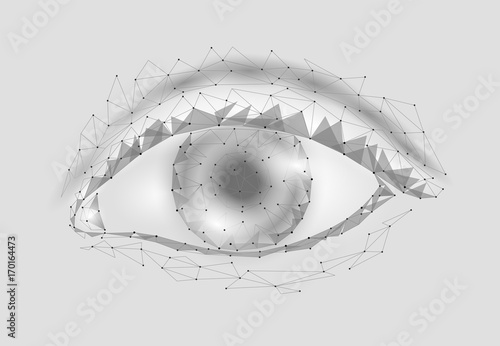 3d model of woman eye. Gray white glowing polygonal low poly logo triangle. Beautiful alien female sight close up vector illustration