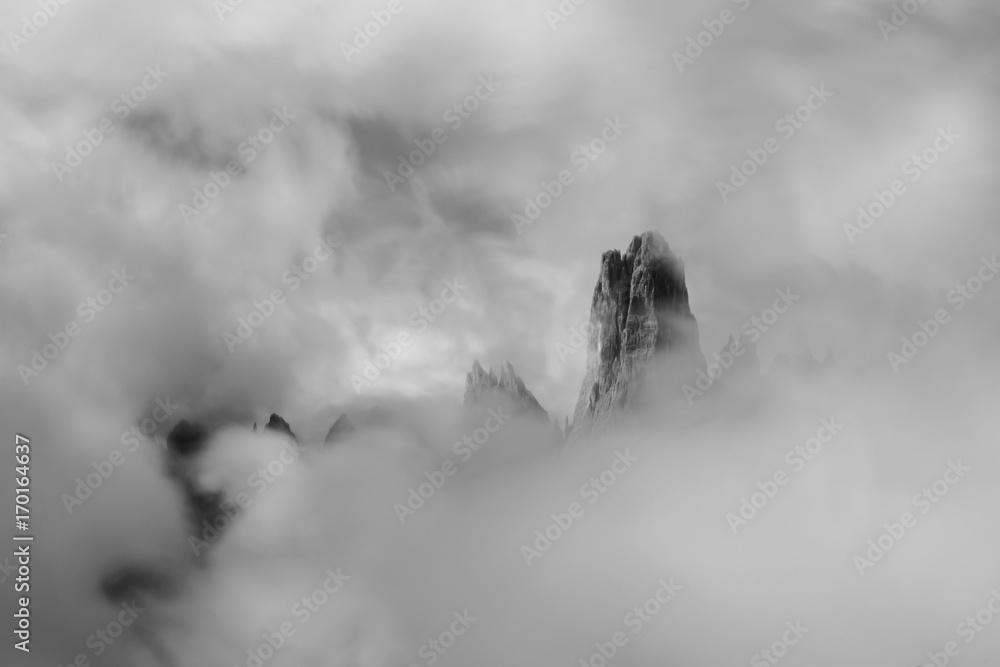 Fototapeta premium Foggy black and white landscape