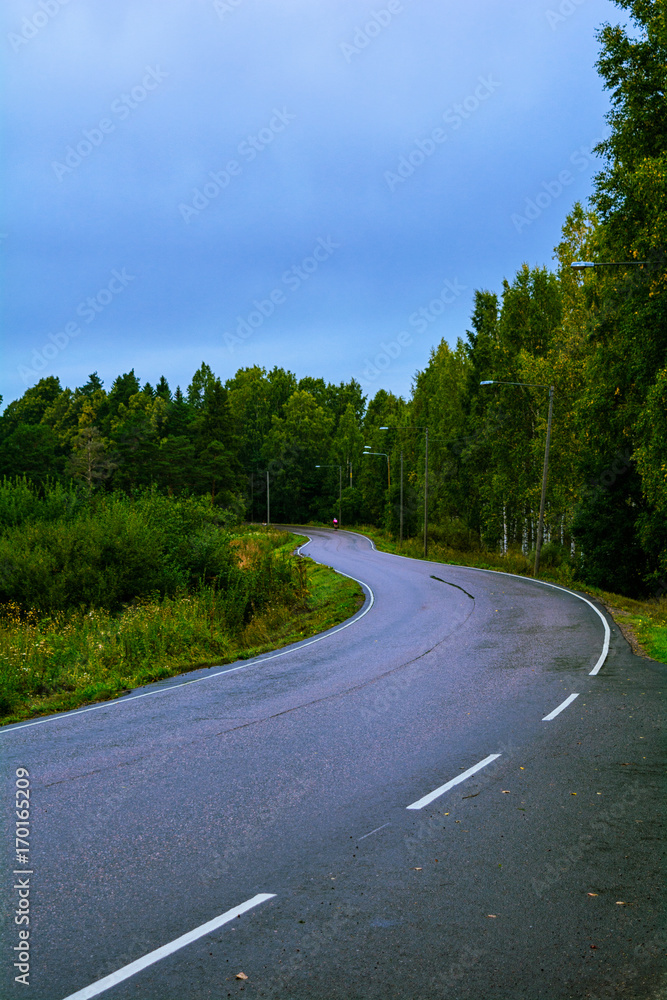 Fototapeta premium rainy road in sipponkorpi, finland