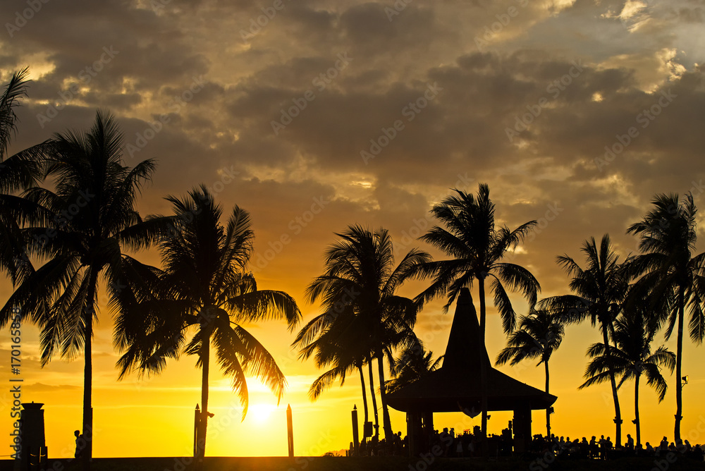 Obraz premium Silhouettes of palm tree during sunset in Kota Kinabalu, Sabah Borneo, Malaysia.
