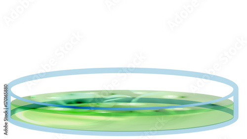 Petri Dish with Bacteria, Colony - Vector Illustration