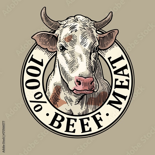 Cows head. 100 % beef meat lettering. Vintage vector engraving
