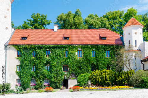 The patio of the Castle of Peskov Rock in Ojców National Park. The wall of the house is covered with ivy. Background. Krakow, Poland . photo