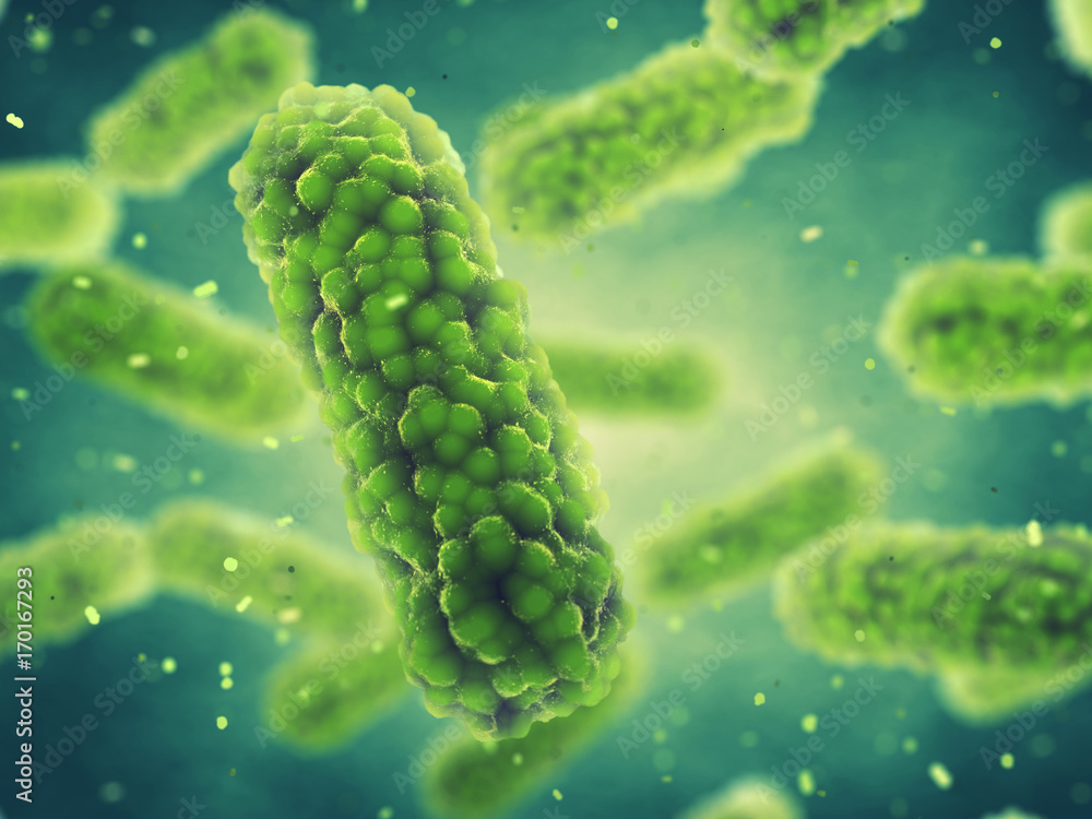 Fototapeta premium Bacteria , Bacterial infection and epidemic disease