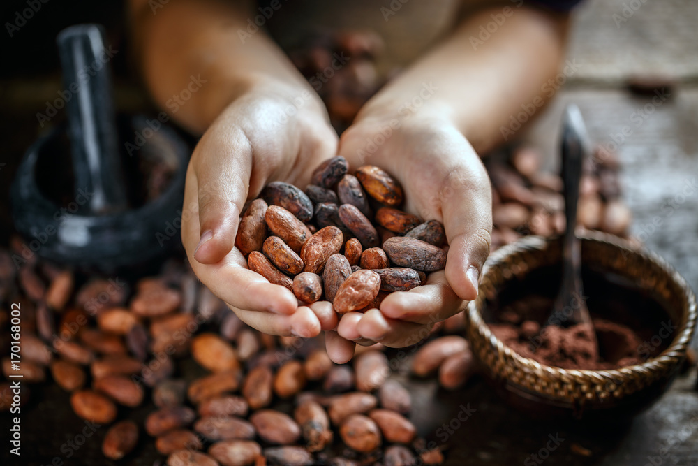 Aromatic cocoa beans - obrazy, fototapety, plakaty 