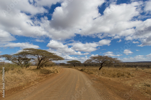 La route du Safari