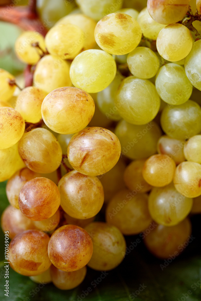 close up of white grapes background. close up of white grapes background.