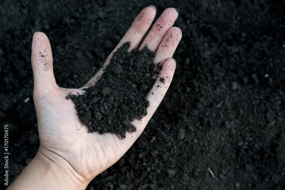 Female hand holding a handful of rich fertile soil that has been newly dug over or tilled in a concept of conservation of nature and agriculture. Blurred motion the soil falling to the ground. Female hand holding a handful of rich fertile soil that has been newly dug over or tilled in a concept of conservation of nature and agriculture. Blurred motion the soil falling to the ground.