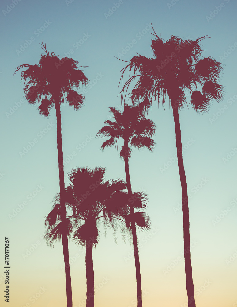 Fototapeta premium Retro Sunset Palms