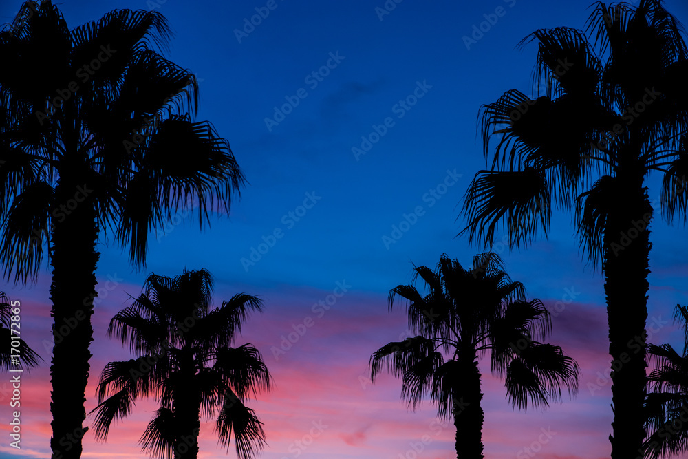 Palms silhouettes at sunset sky background