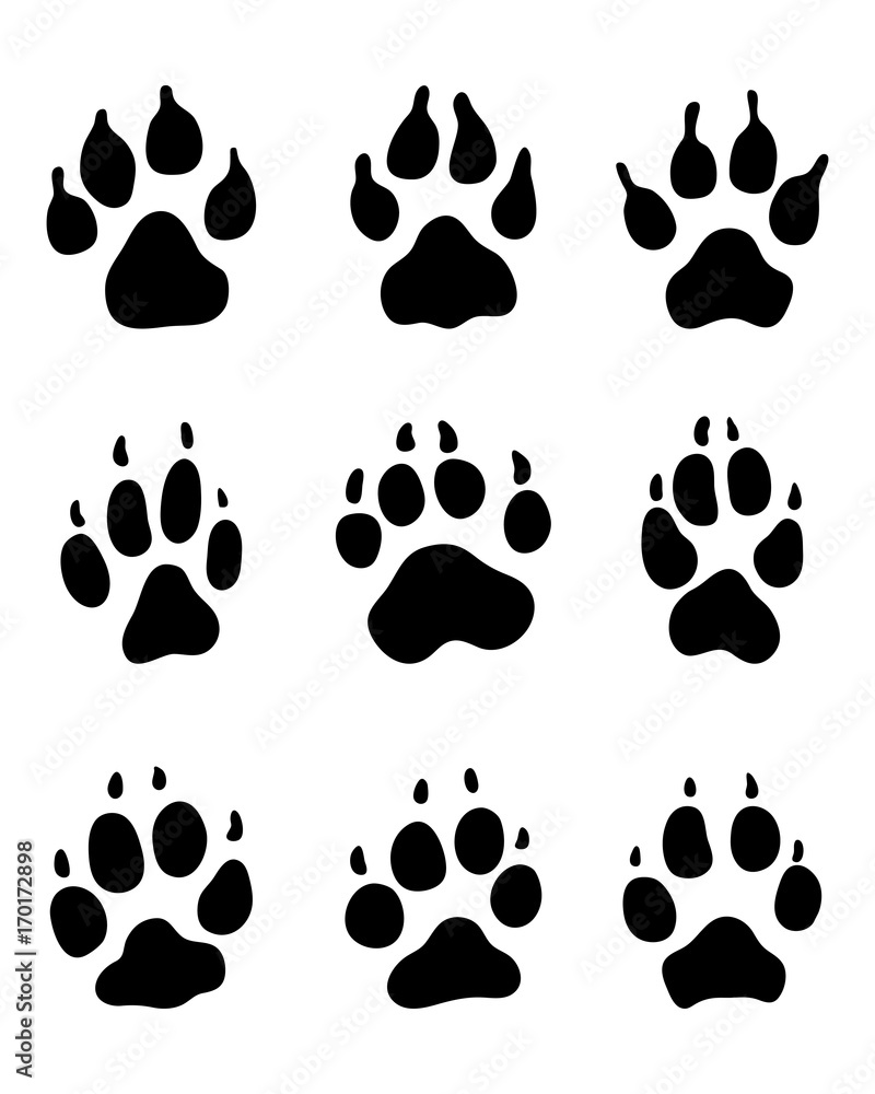 Black print of dogs paws on white background Black print of dogs paws on white background