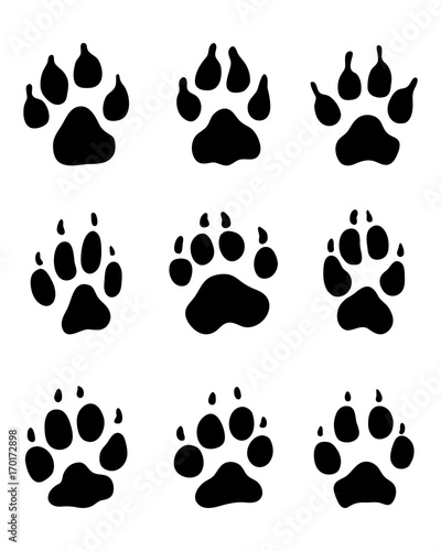Black print of dogs paws on white background