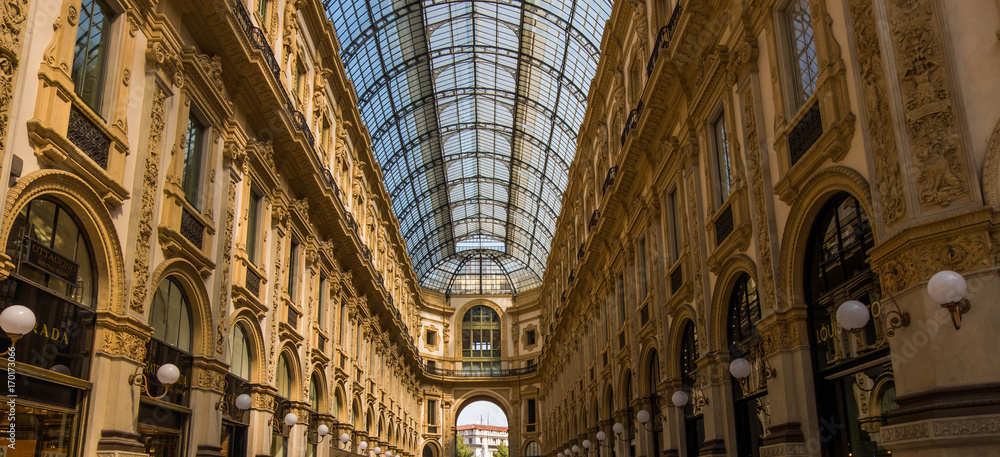 Milano's Gallery
