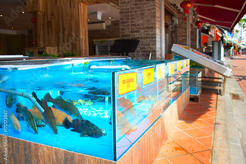 Photography Fish restaurant in Singapore