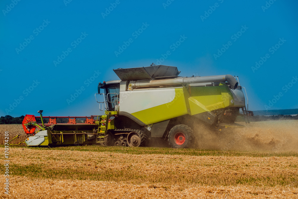 Combine harvester in action on wheat field. Process of gathering a ripe crop. Combine harvester in action on wheat field. Process of gathering a ripe crop.