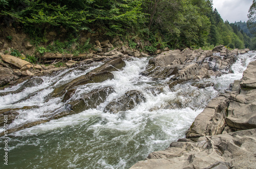 Fototapeta Naklejka Na Ścianę i Meble -  River in Bieszczady National Park. Sine Wiry.