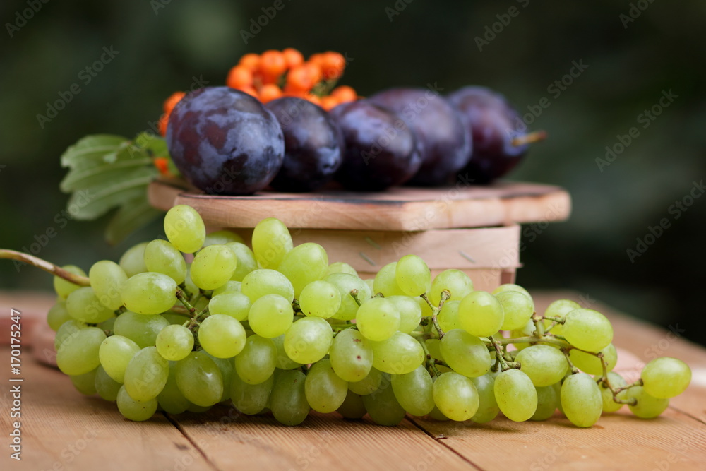 Grapes, rowan and purple plums on the window Grapes, rowan and purple plums on the window