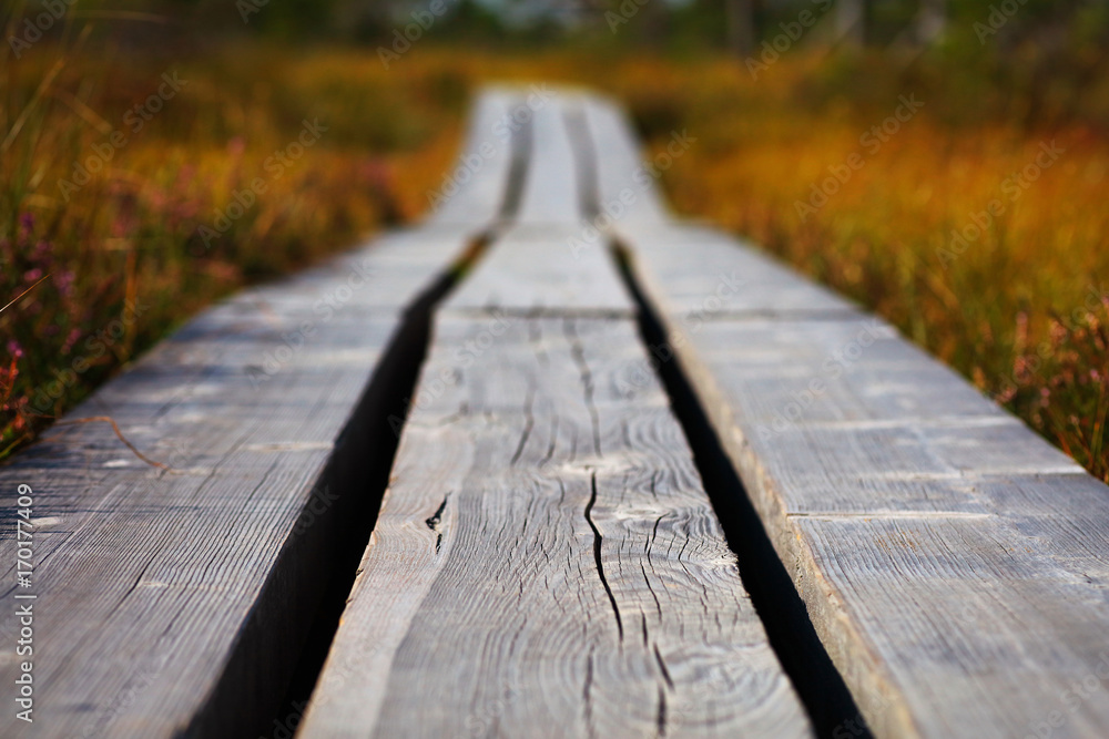 small wooden path