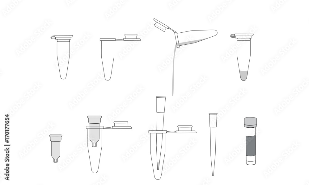 DNA purification spin column and pipette tips Stock Vector Adobe Stock