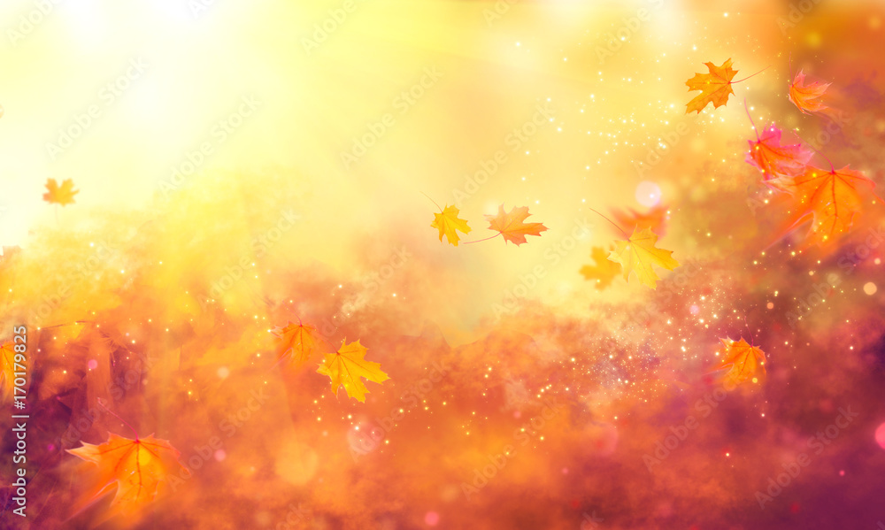 Fototapeta premium Fall background. Autumn colorful leaves and sun flares