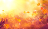 Fall background. Autumn colorful leaves and sun flares