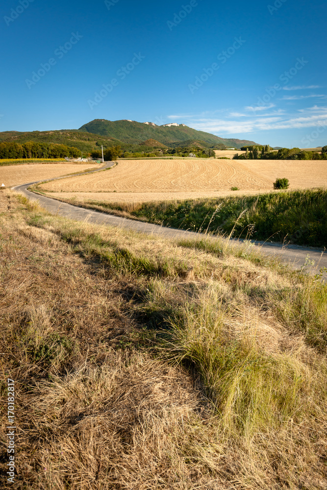Typical French landscape in summer with grain fields