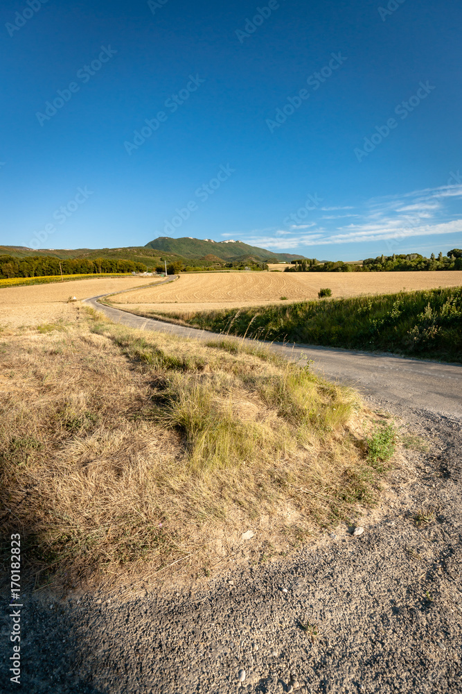 Typical French landscape in summer with grain fields Typical French landscape in summer with grain fields