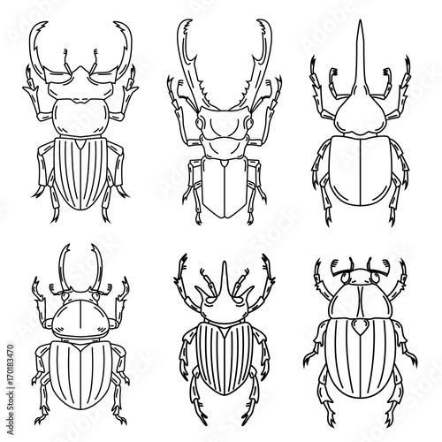 Set of insects illustrations isolated on white background.