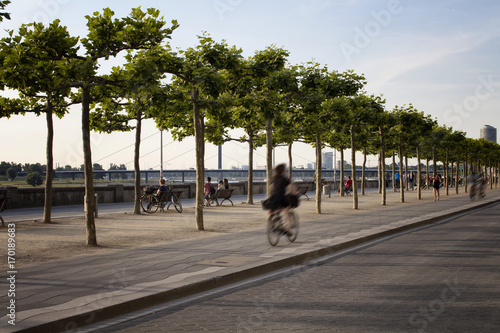 Woman rides bicycle in blurry motion by Rhine (Rhein) river. Tree line is also in the view. Image communicates lifestyle and culture of Dusseldorf.