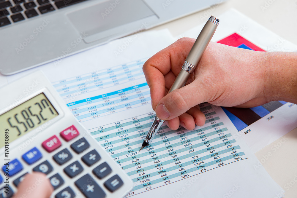 Finance analyst looking and financial reports Finance analyst looking and financial reports