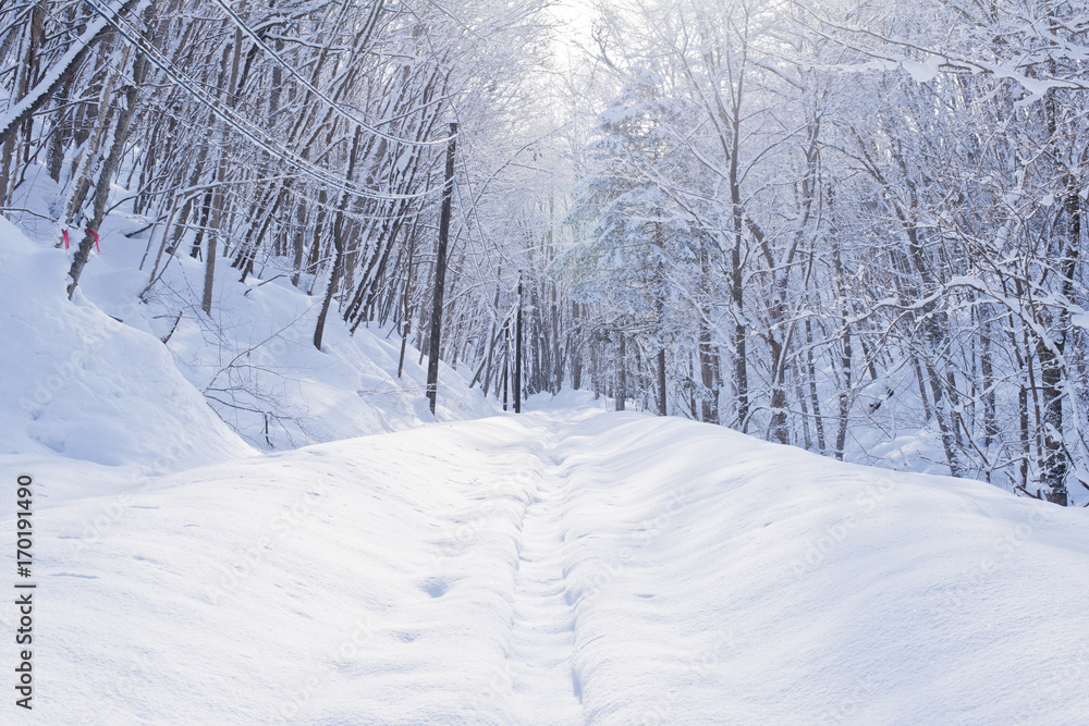 Fototapeta premium スノーハイキング