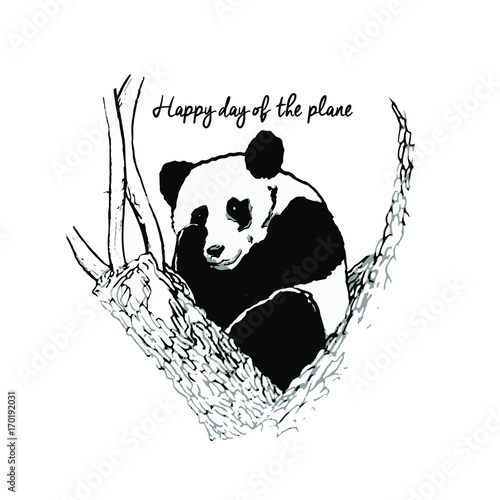Día de la tierra, Dibujo Panda, síntesis gráfica, alto, elegante