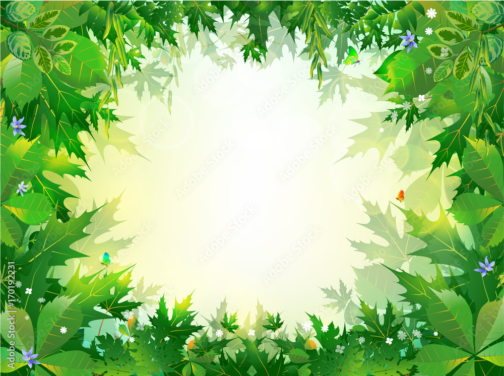 spring backgrounds nature
