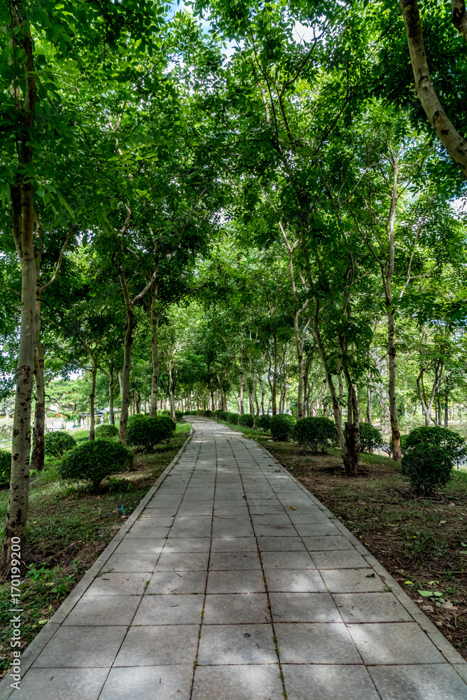 Concrete Pathway in garden